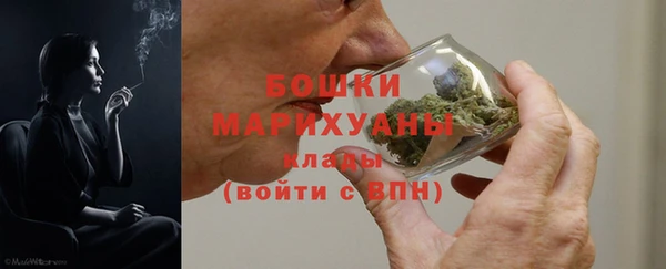шишки Снежинск